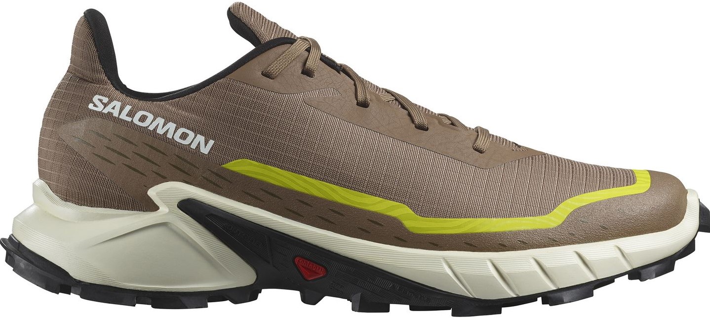 Salomon best sale alphacross 42